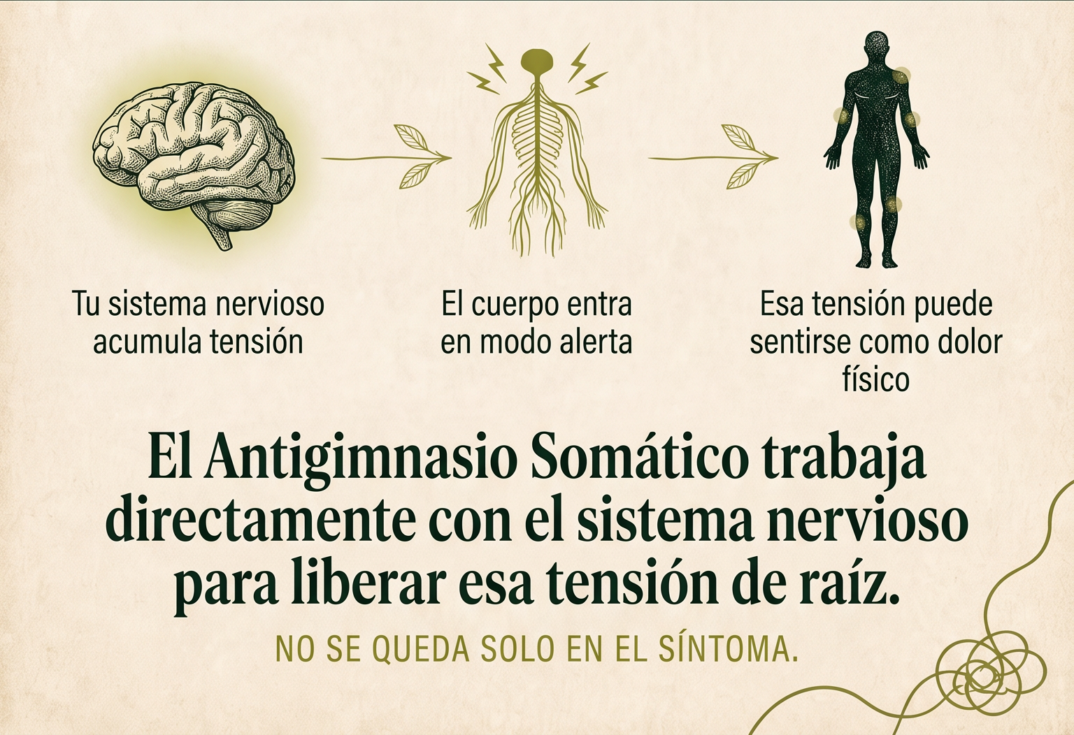 Sistema nervioso