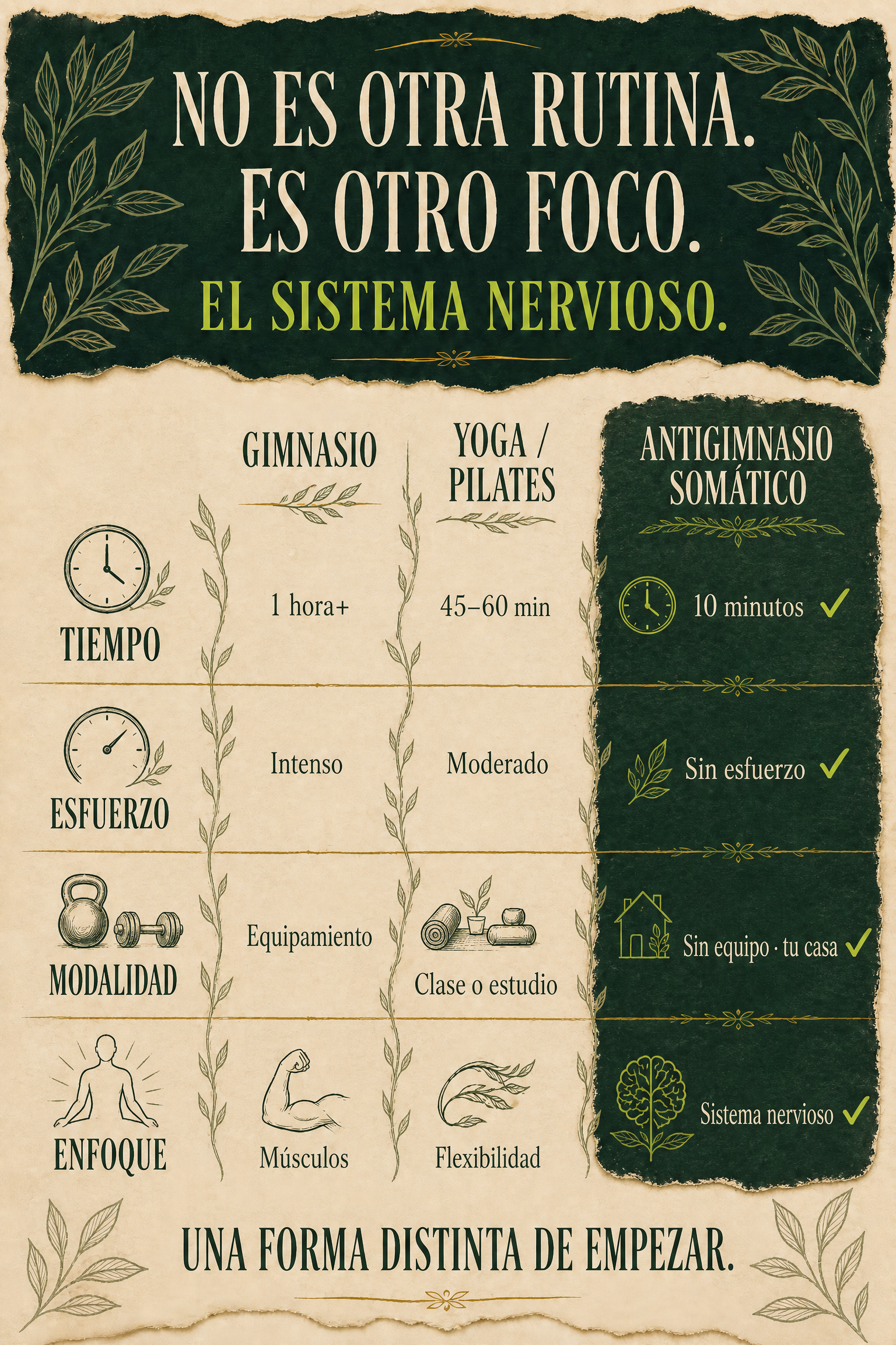 Comparativa entre gimnasio, yoga y Antigimnasio Somático